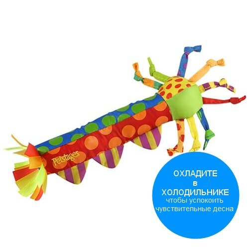 Petstages Cool Teething Stick -     