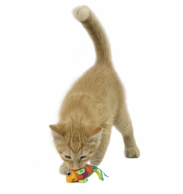 petstages-catnip-fishy-fun-rybki-shurshalki-s-koshachey-myatoy.jpg