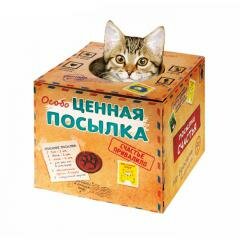 Ценная посылка Домик-коробка с матрасом, вход сверху, 28 х 28 х 25 см
