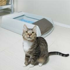 ScoopFree Лоток для кошек с функцией самоочистки