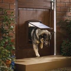 Petsafe Staywell Original 2 Way Дверца для кошек и собак (M, коричневая)