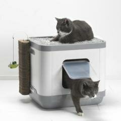 Cat Concept 4 в 1 (туалет, лежанка, дразнилка, когтеточка)