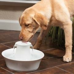 Petsafe Drinkwell Avalon Автопоилка для животных (керамика)