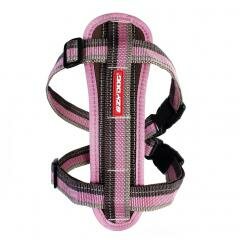 EzyDog шлейка Chest Plate S карамельный