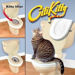 Citi Kitty      
