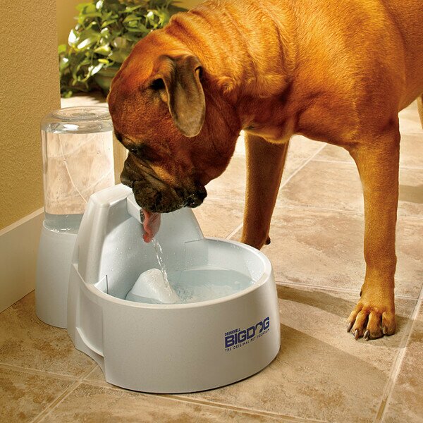 Petsafe Big Dog Fountain фонтан-поилка для собак больших пород