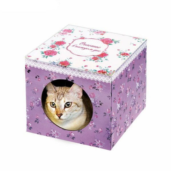 Домик-коробка с меховым матрасом "Счастье в каждом дне", вход сбоку, (28 х 28 х 25 см)