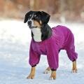      OSSO Fashion, .25 ()