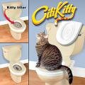 Citi Kitty      