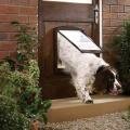 Petsafe Staywell Original 2 Way      (L, ) 