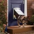 Petsafe Staywell Original 2 Way      (M, )