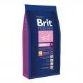 Brit Premium Junior S      (1 )