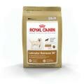 Royal Canin Labrador Retriever 30        (3 )