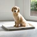 Savic Puppy Trainer     (4835 )